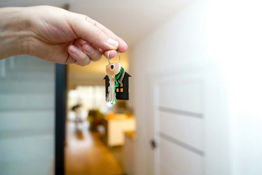 Property owners